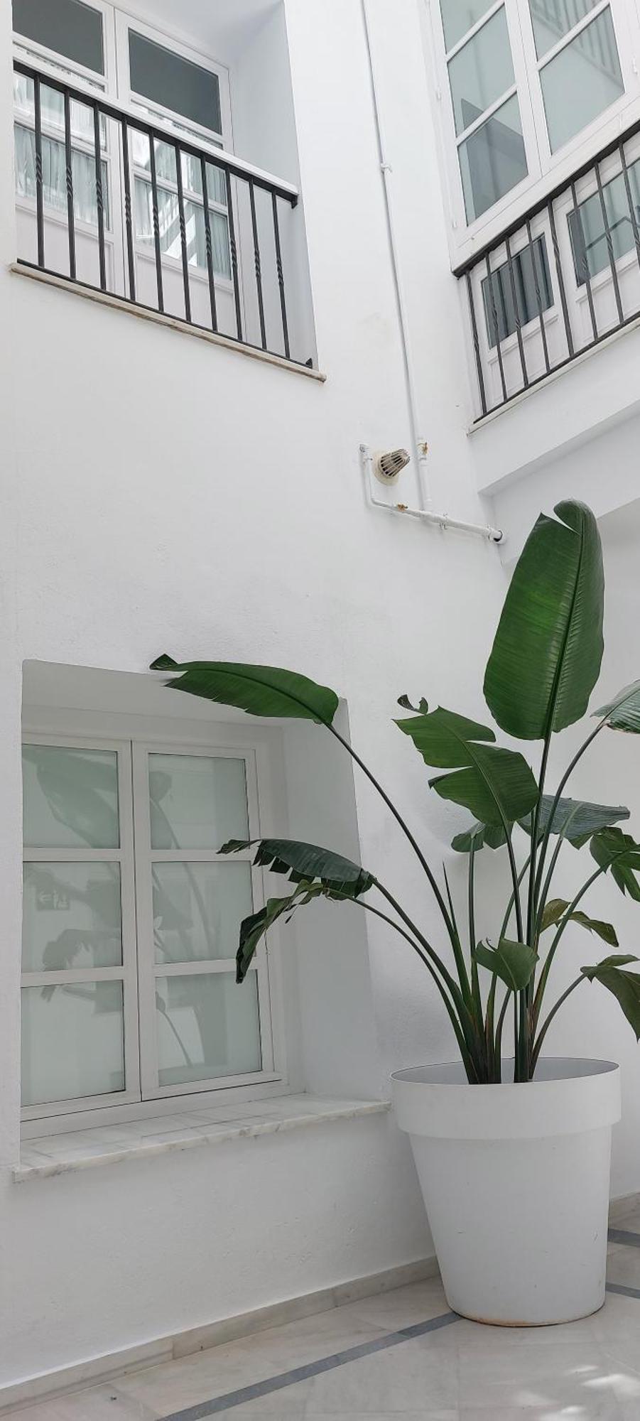 El 2 De Flamenco Bajob Apartment Cadiz Bagian luar foto
